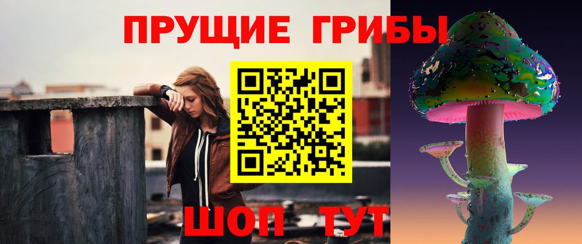 Галлюциногенные грибы GOLDEN TEACHER  Галлюциногенные грибы MAGIC MUSHROOMS  Вход с VPN  Тула 