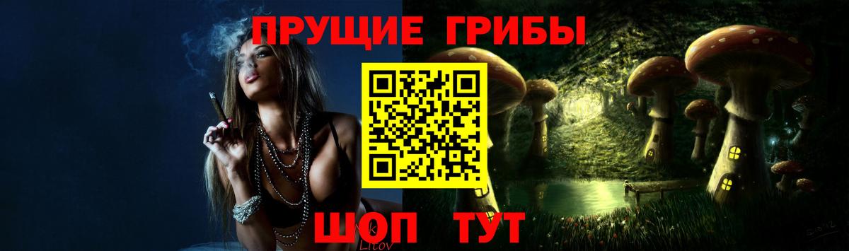 Галлюциногенные грибы Psilocybe Тула